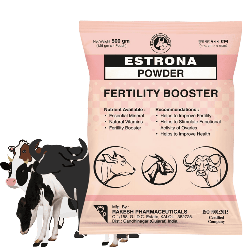 Estrona Powder